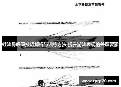蛙泳鼻呼吸技巧解析与训练方法 提升游泳表现的关键要素